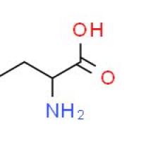 D-烯丙基甘氨酸盐酸盐