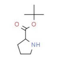 L-脯氨酸叔丁酯