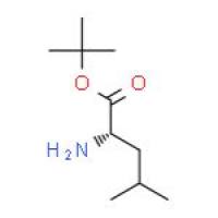 L-亮氨酸叔丁酯盐酸盐