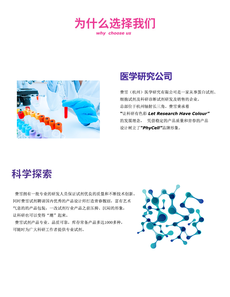 牛促甲状腺素(BTSH),BTSH抗原