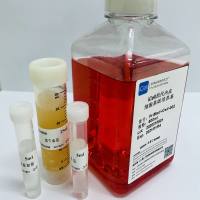 内皮细胞培养基/原代细胞专用培养基