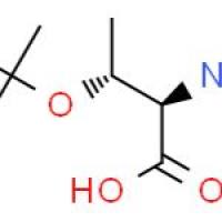 O-叔丁基-D-苏氨酸