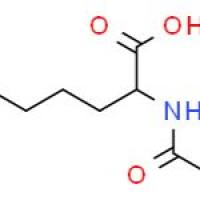乙酰-L-正亮氨酸