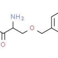 O-苄基-D-丝氨酸