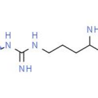 N'-硝基-L-精氨酸