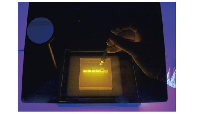 TGreen Monitor Plus 蓝光电泳监测仪套装