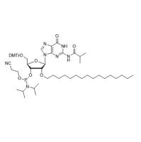 2’OC16-G(iBu) phosphoramidite