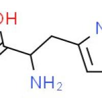 L-4-噻唑丙氨酸