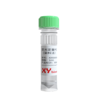 荧光定量PCR 扩增试剂（染料法）