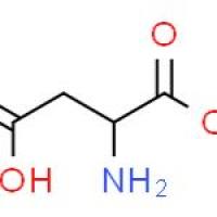 DL-天冬氨酸甲酯