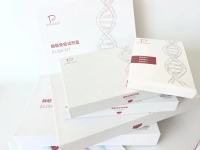 人膜联蛋白Ⅴ(ANX-Ⅴ)ELISA试剂盒