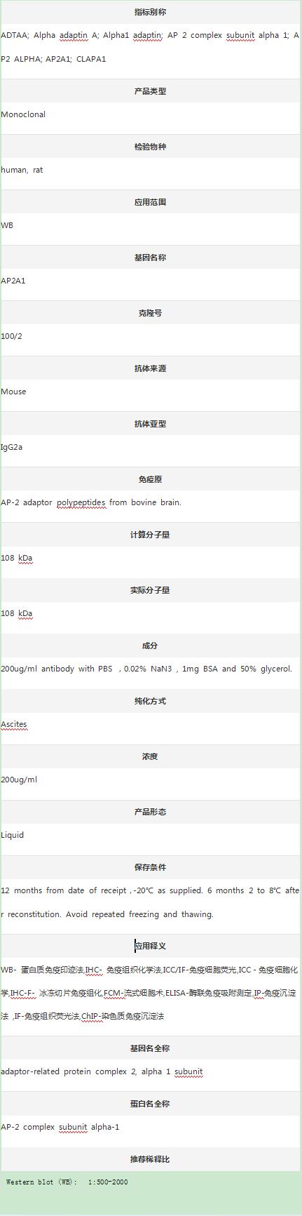 Anti-AP2A1 Antibody (Clone#100