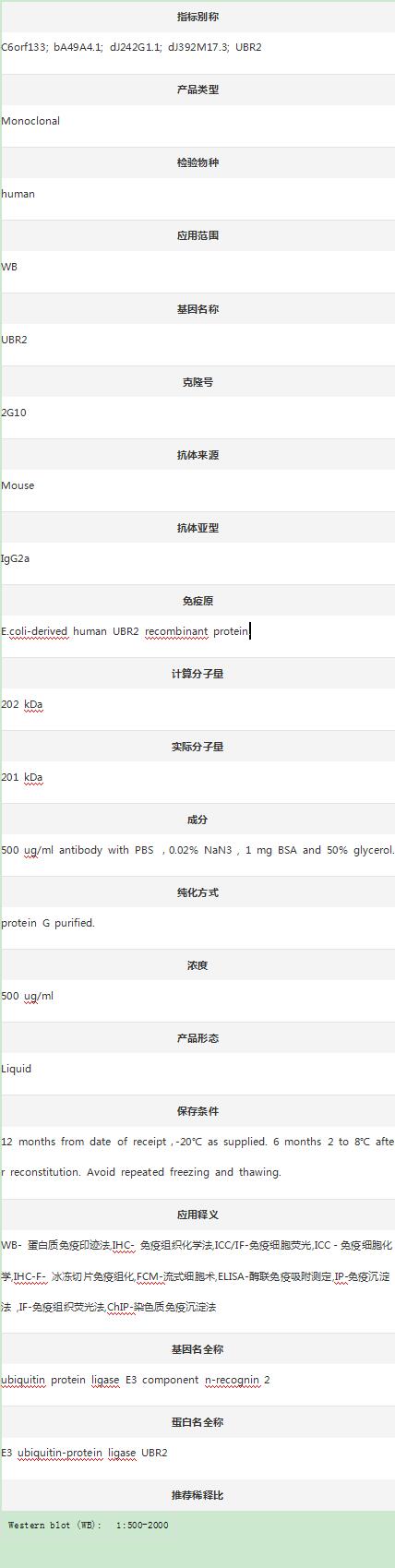 Anti-UBR2 Antibody (Clone#2G10