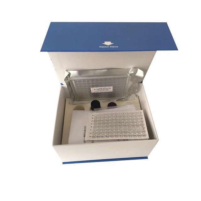 牛乳铁蛋白ELISAkit,LTELISA检测试剂盒