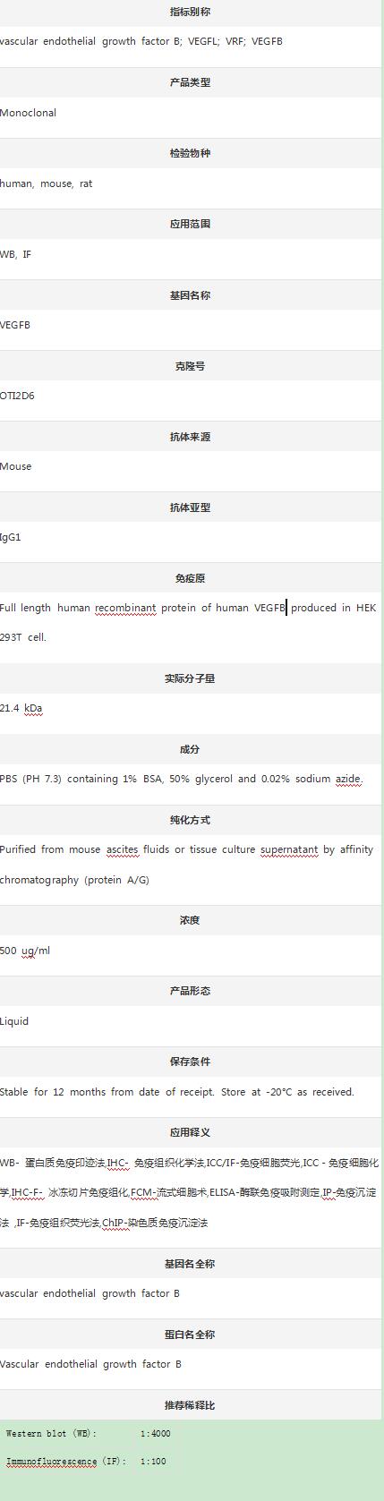 Anti-VEGFB Antibody (Clone#OTI