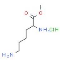 L-赖氨酸甲酯盐酸盐