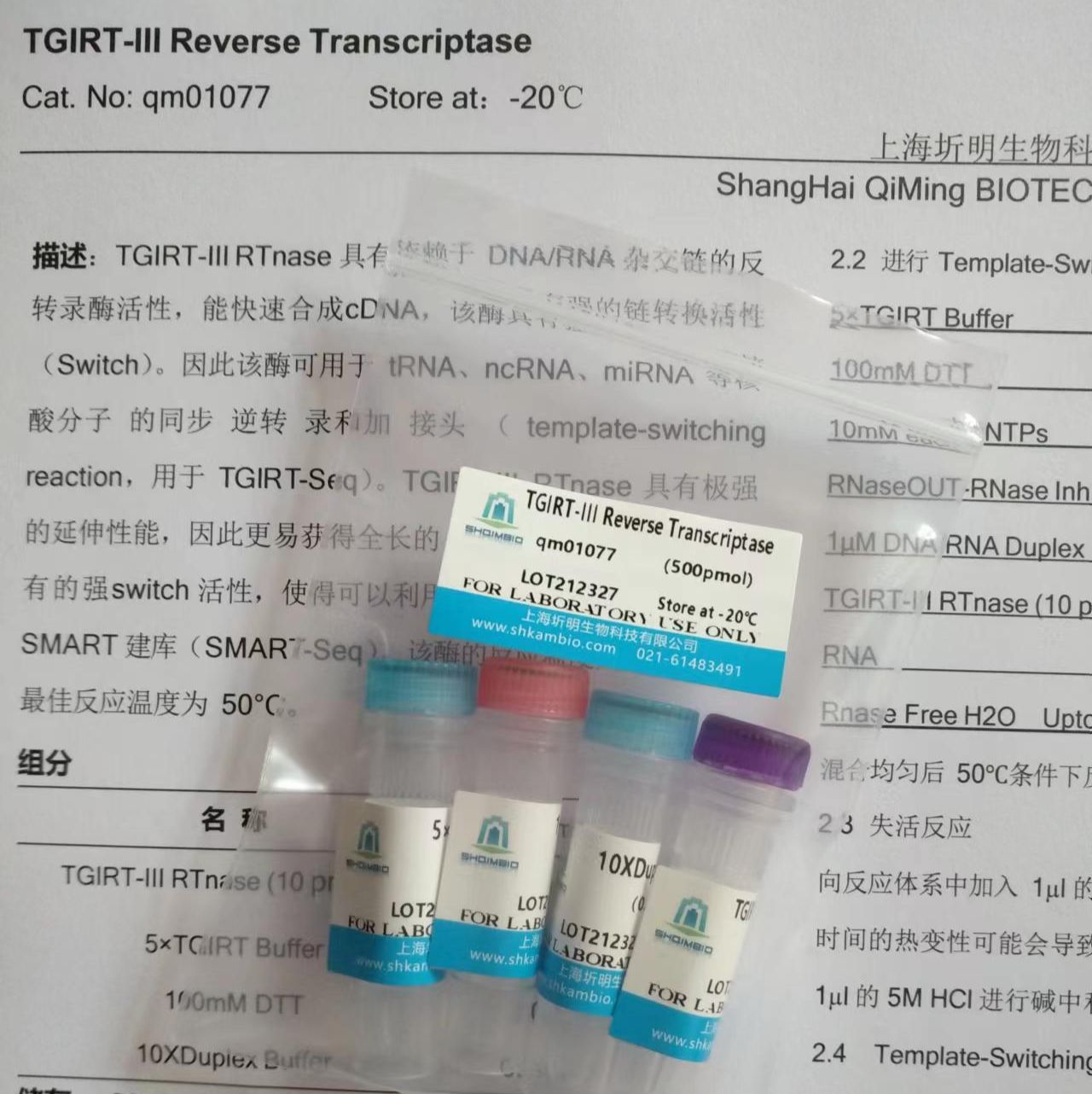 TGIRT-III Reverse Transcriptase