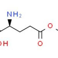 L-谷氨酸5乙脂