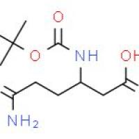 BOC-Β-高谷氨酰胺