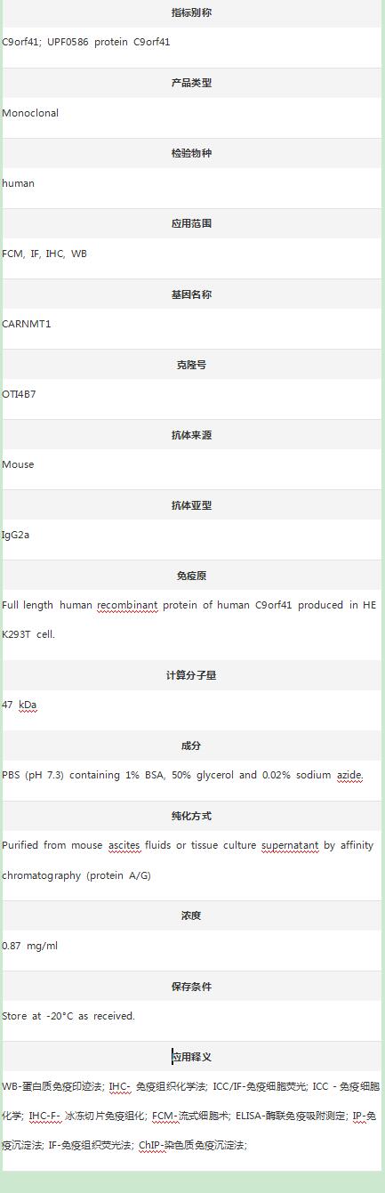 Anti-C9orf41/CARNMT1 Antibody