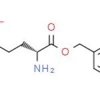 1-苄基 D-谷氨酸酯