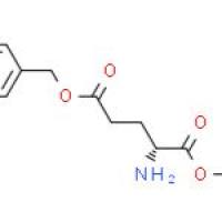 D-谷氨酸-Γ-苄酯-Α-叔丁酯盐酸盐