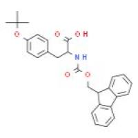 Fmoc-O-叔丁基-D-酪氨酸