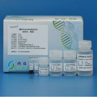 植物DNA/RNA提取试剂（磁珠法）