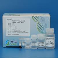 动物组织DNA/RNA提取试剂（磁珠法）