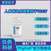 人血管内皮细胞生长因子VEGF,血管通透因子VPF
