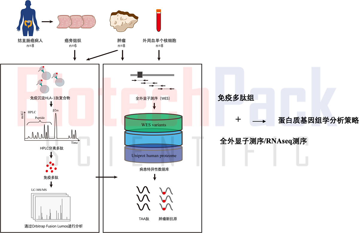 技术资料图片2