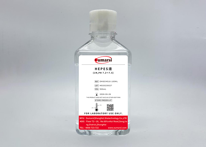 HEPES液(1M,pH 7.2～7.5)