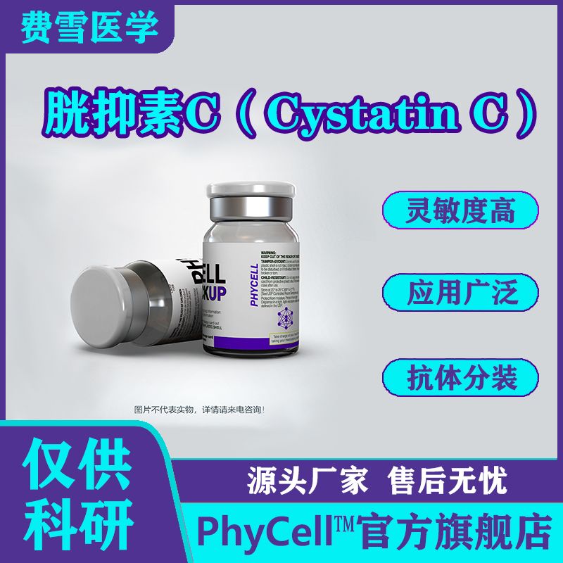 胱抑素C抗原 ， Cystatin C，Cys C蛋白