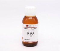 高效RIPA组织/细胞快速裂解液