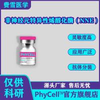 100μg,非神经元特异性烯醇化酶抗原(NNE),NNE抗原,NNE蛋白