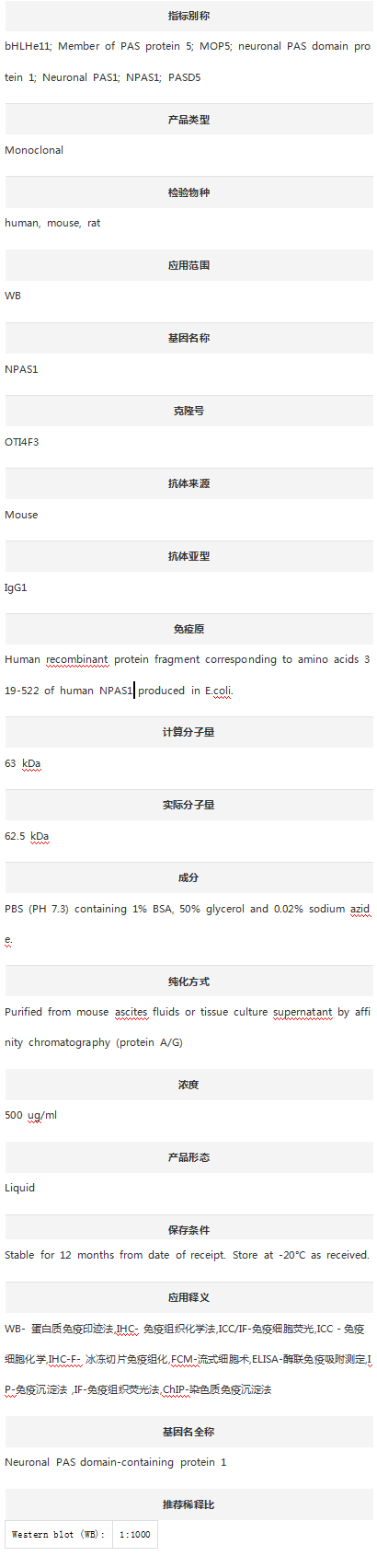 Anti-PASD5/NPAS1 Antibody (Clo