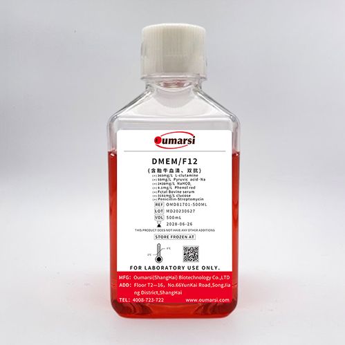 DMEM/F12(with FBS, Penicillin-Streptomycin)