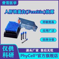 人肝铁蛋白(Ferritin)抗原 ，铁蛋白，Ferritin抗原