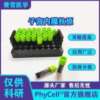 子宫内膜BSA（OVA）偶联抗原,子宫内膜抗原