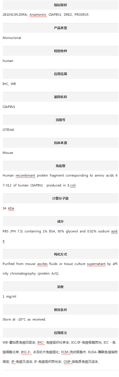 Anti-CIAPIN1 Antibody (Clone#O