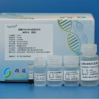细菌DNA/RNA提取试剂（磁珠法）
