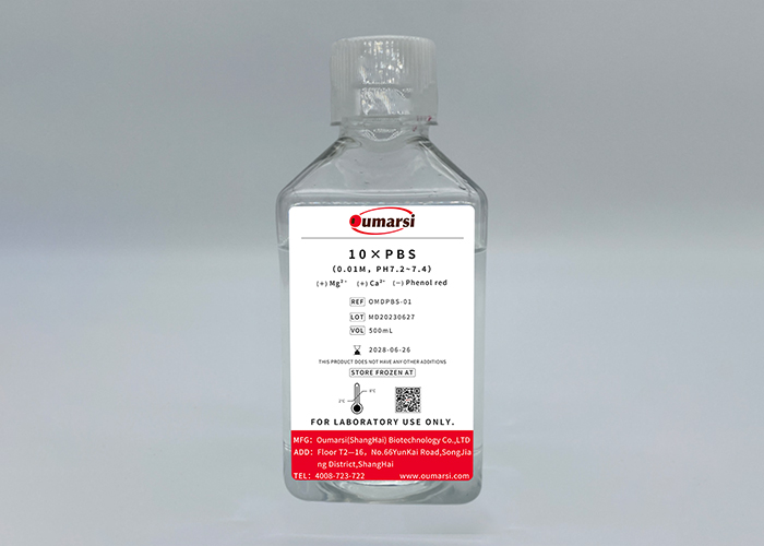 10×PBS(0.1M,pH 7.2-7.4)