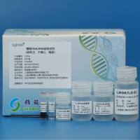 植物DNA/RNA提取试剂（磁珠法、不离心）