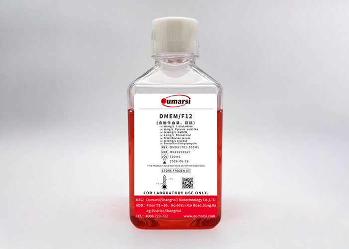 DMEM/F12(with FBS, Penicillin-