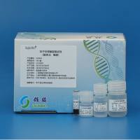 拭子类核酸提取试剂（磁珠法）