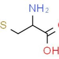 DL-半胱氨酸