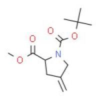 N-BOC-4-亚甲基-L-脯氨酸甲酯
