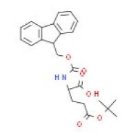 Fmoc-O-叔丁基-L-谷氨酸