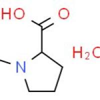 N-甲基-L-脯氨酸一水合物