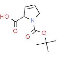 Boc-3,4-脱氢-L-脯氨酸
